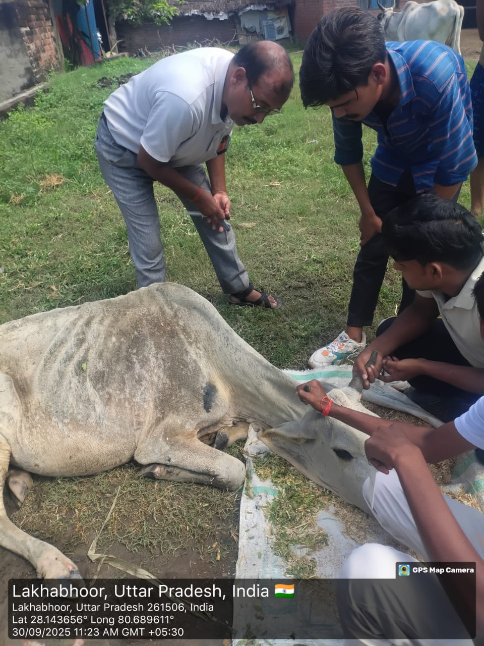 Animal Support Padariya tula